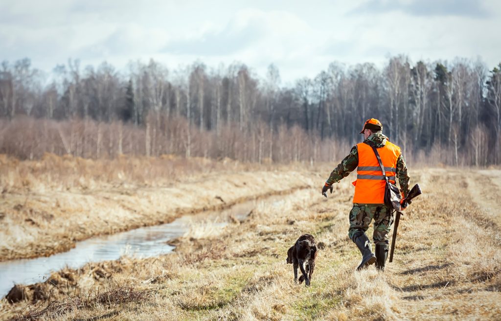 Ouverture de la chasse en 2025 choisir les bons produits