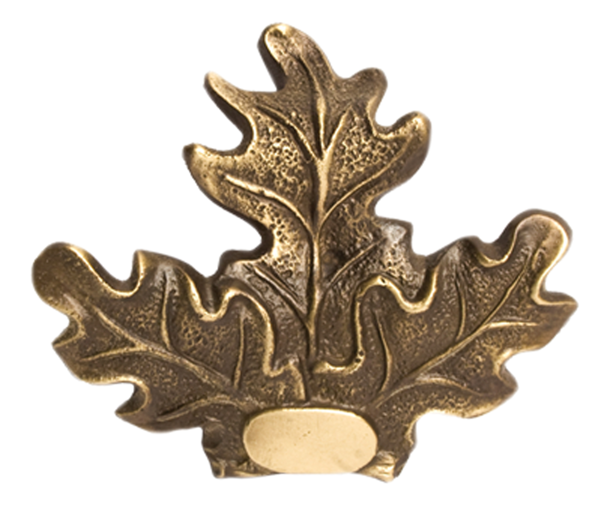 Feuille de Chêne porte trophée – Image 2