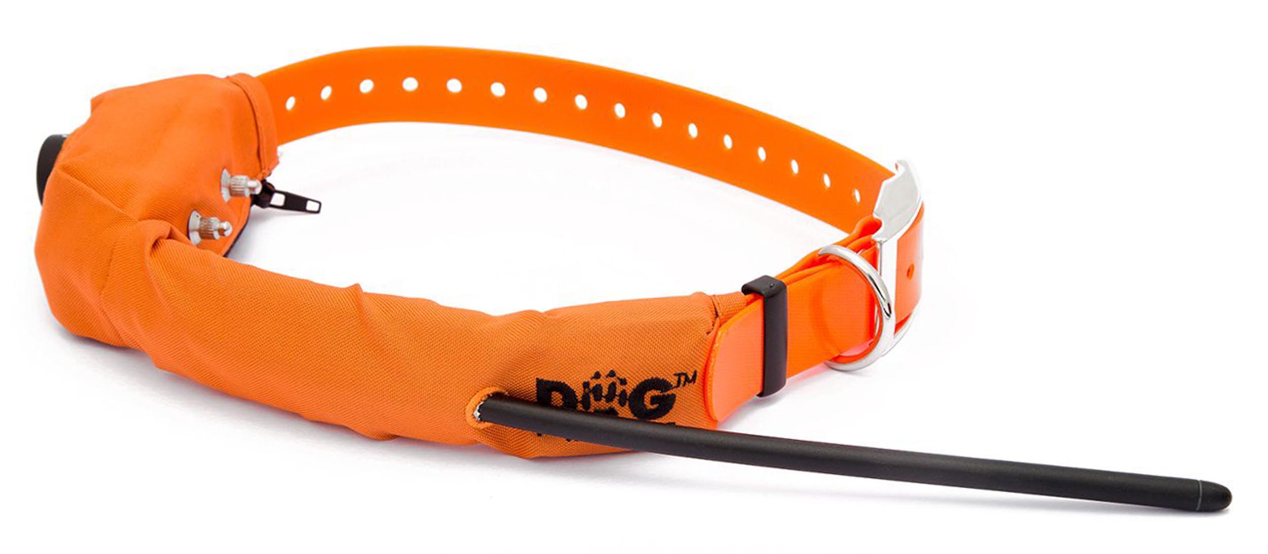Beeper et Dressage pour chiens DogTrace X30TB