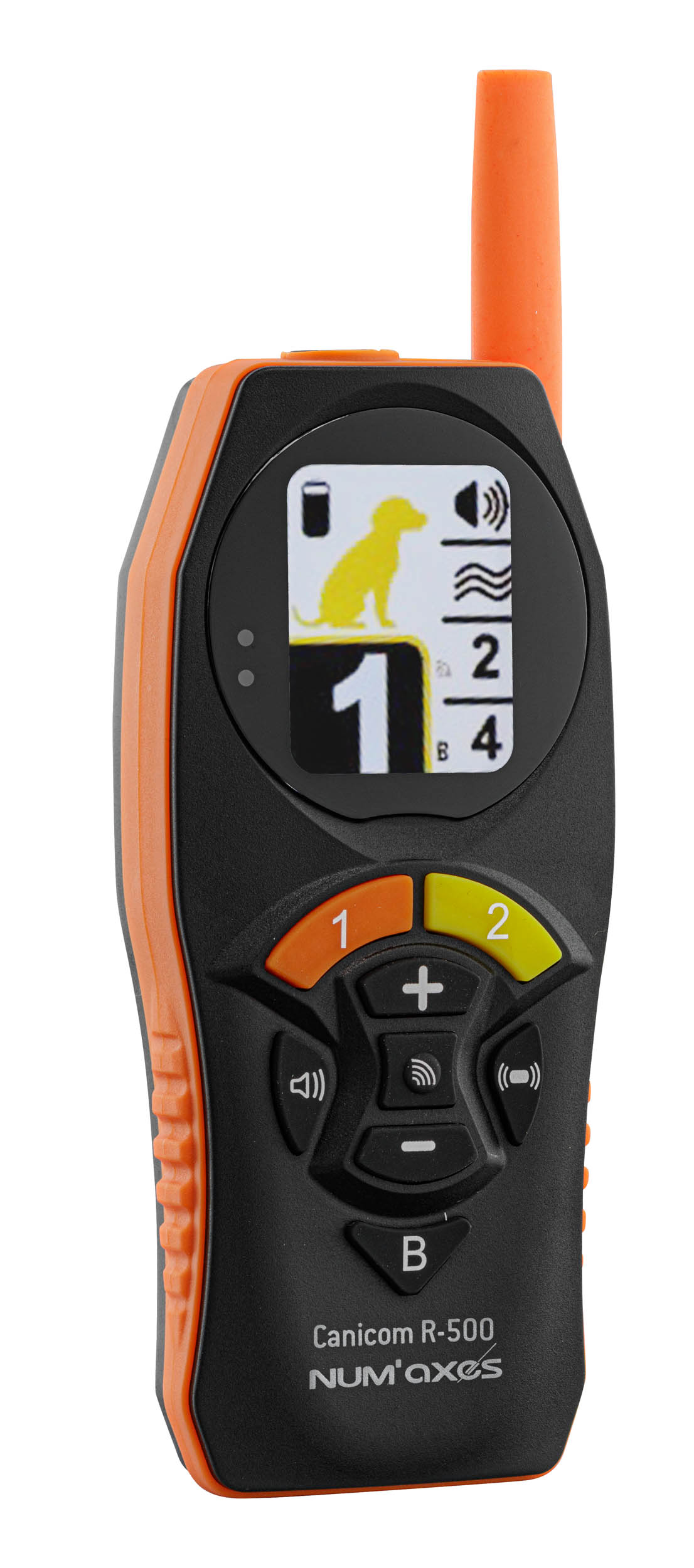 Télécommande et colliers de dressage Canicom R-500 – Image 2