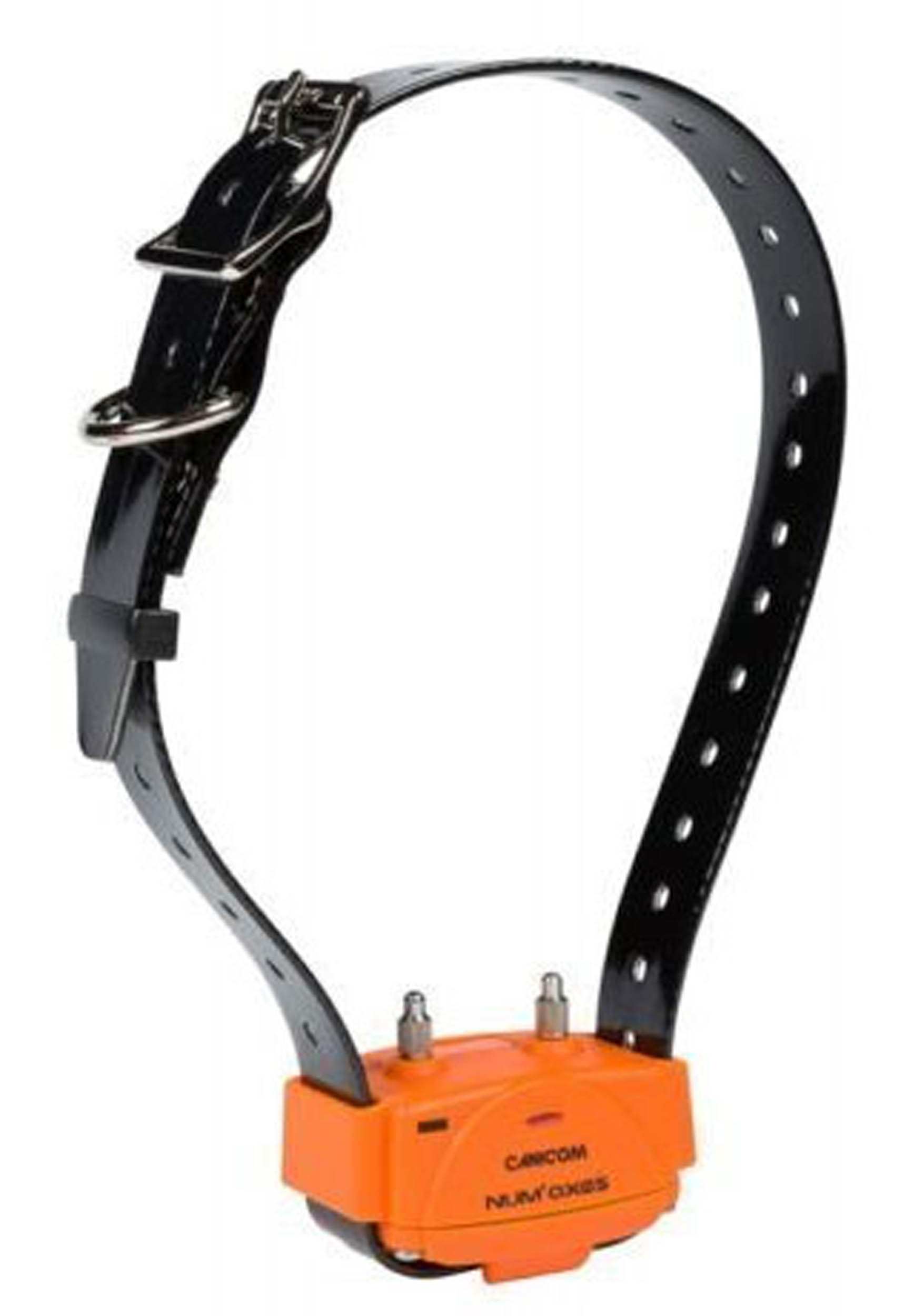 NUM'AXES - Ensemble de dressage CANICOM 1000 orange – Image 10