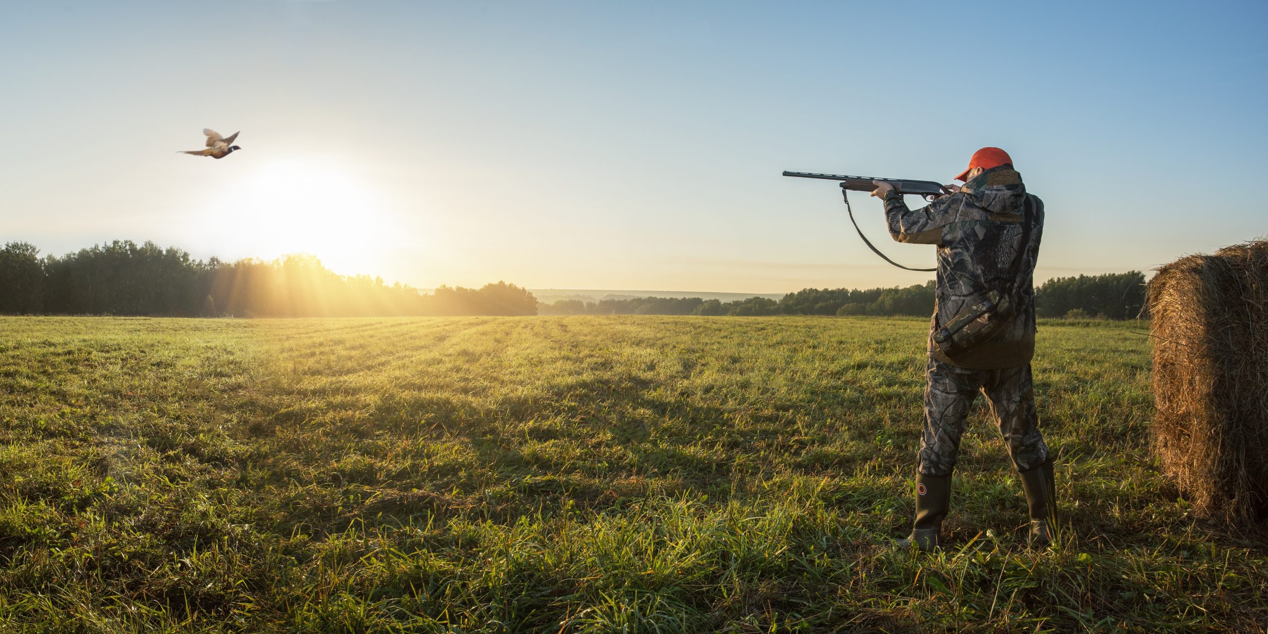 Ouverture la chasse 2025