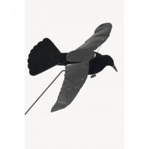 Corbeau Step Flap