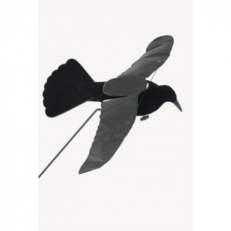Corbeau Step Flap