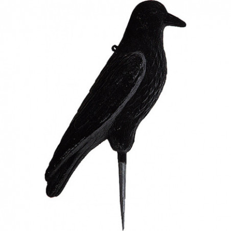 grand corbeau floque sur pique