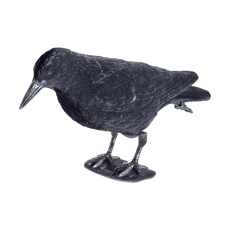 Corbeau floqué